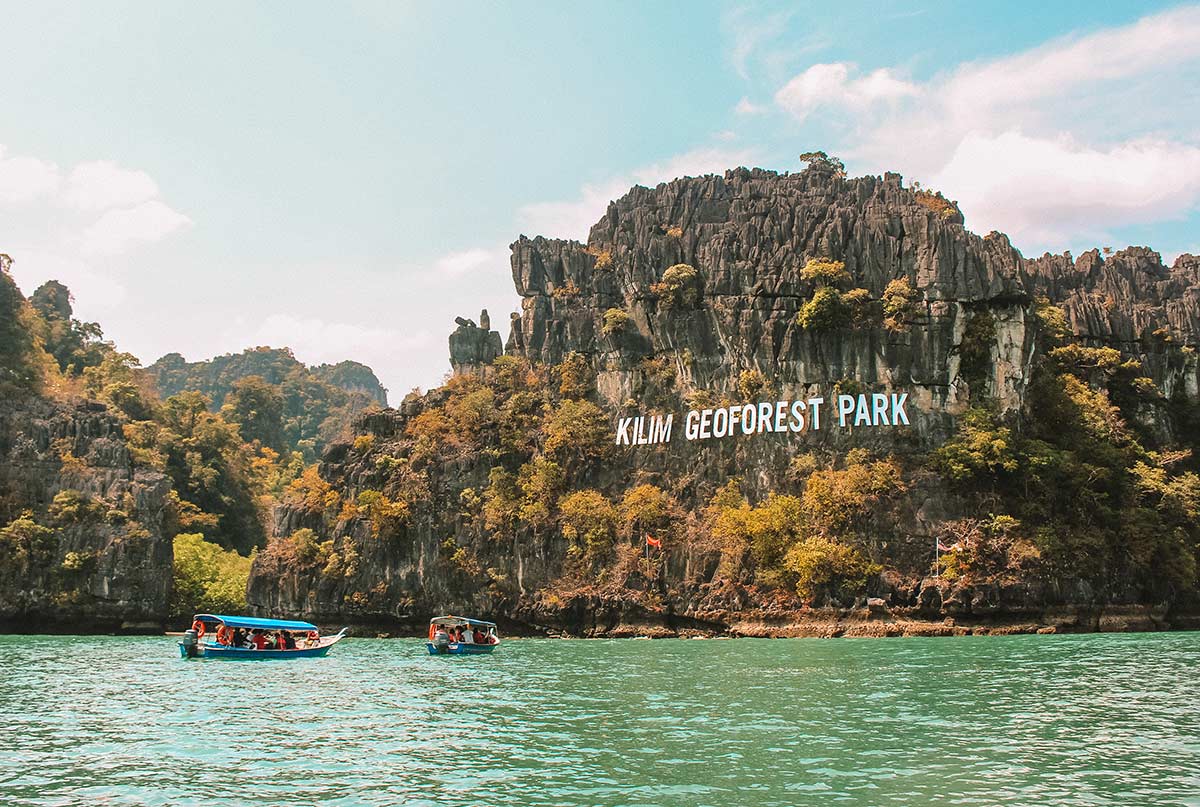 Jelajahi Ekosistem Mangrove yang Memukau di Mangrove Tour Langkawi